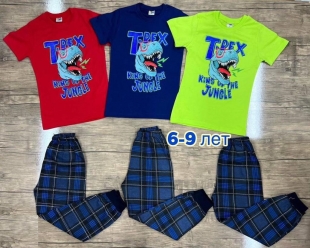 костюм(6-9лет) ― Детская одежда оптом, купить детскую одежду оптом, Интернет-Магазин детской одежды BabyLines54
