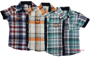 рубашка ― Детская одежда оптом, купить детскую одежду оптом, Интернет-Магазин детской одежды BabyLines54